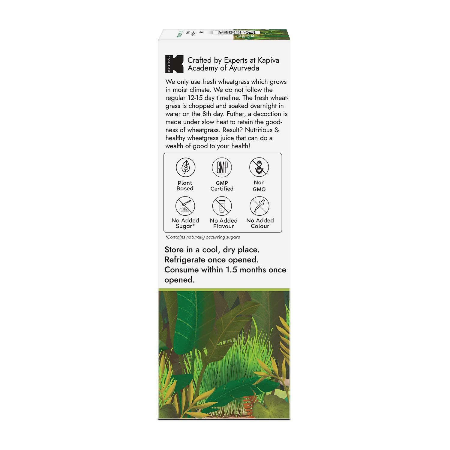 Kapiva Ayurveda Wheatgrass Juice - 1L