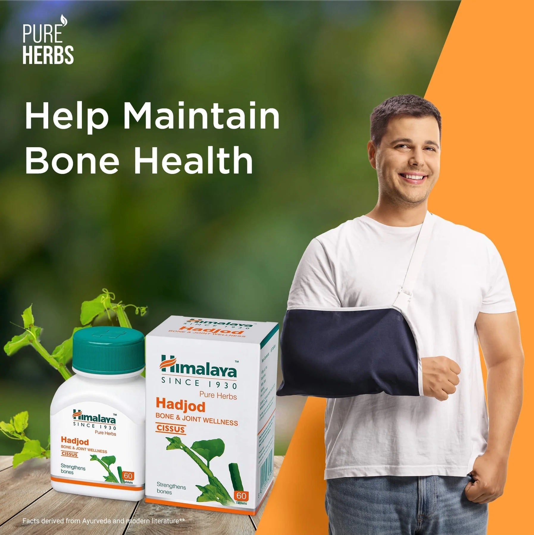 Himalaya Herbals - Hadjod Bone & Joint Wellness - Pack of 1 - 60 tabs