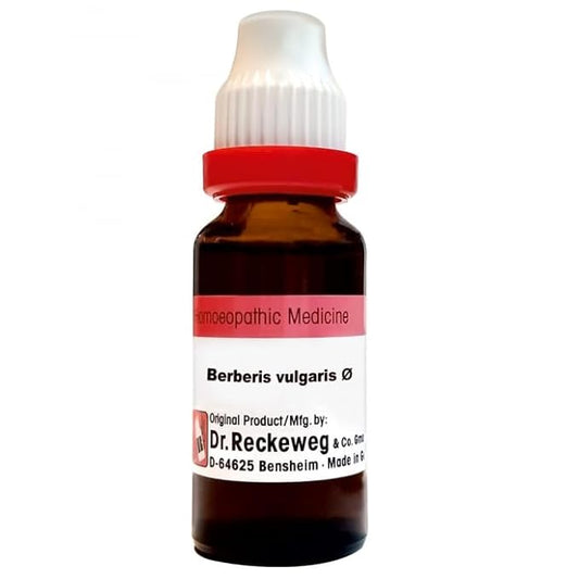 Dr. Reckeweg Berberis Vul Mother Tincture Q - 20 ml