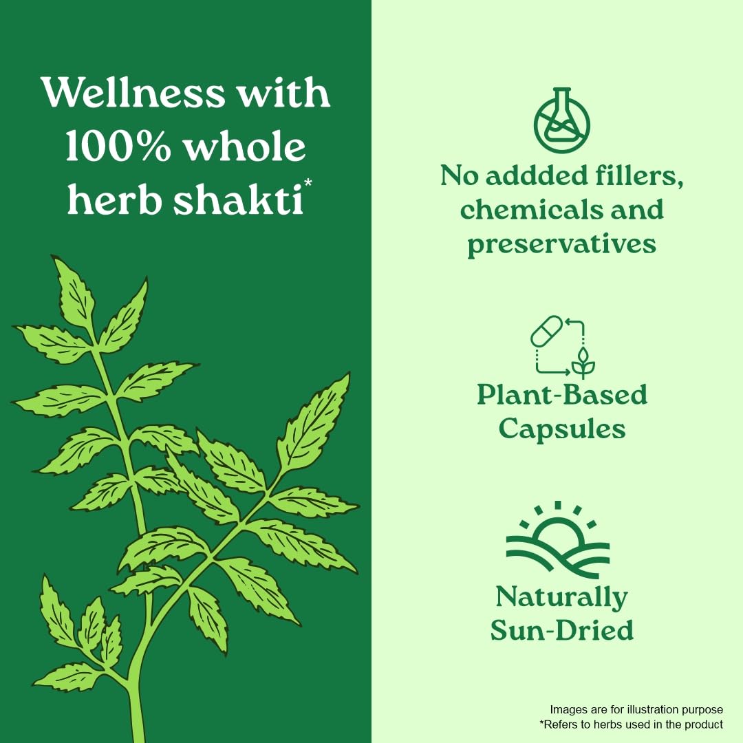 Organic India Neem Blood Purifier - 60 Veg Capsules, Natural Blood Purifier, Plant-Based Anti-Bacterial, Anti-Viral, With Immunity Boosting Properties, GMP & NPOP Certified Organic