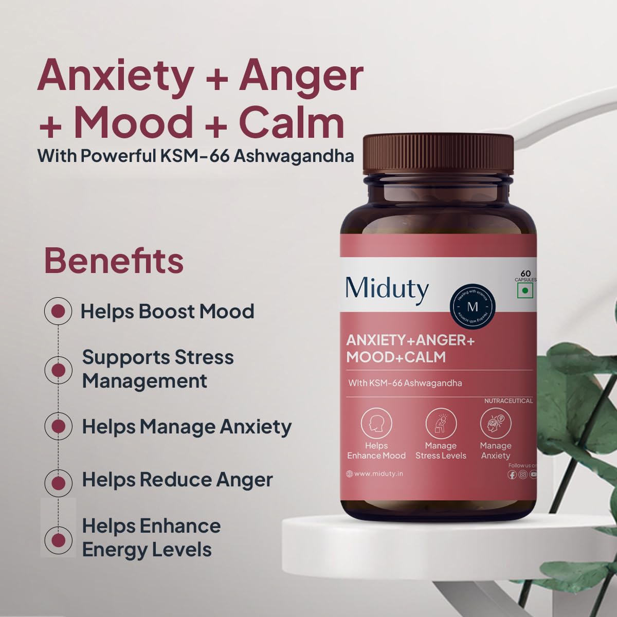 Miduty by Palak Notes Anxiety + Anger + Mood + Calm Capsules - 60 caps