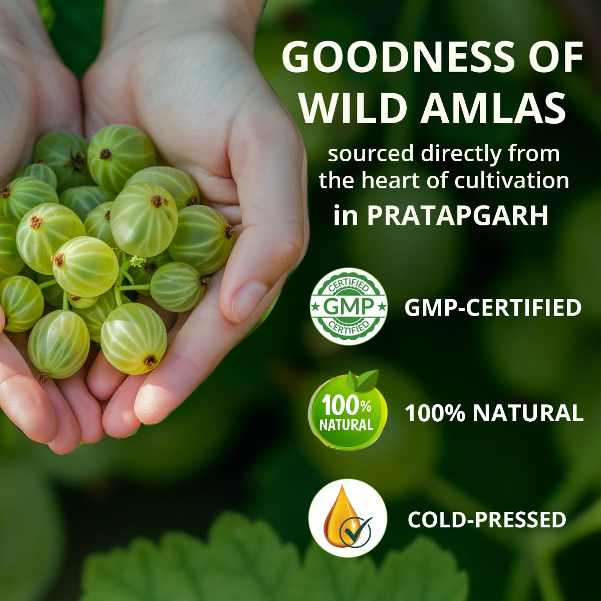 Vansaar Ayurvedic Tangy Amla Juice - 1L