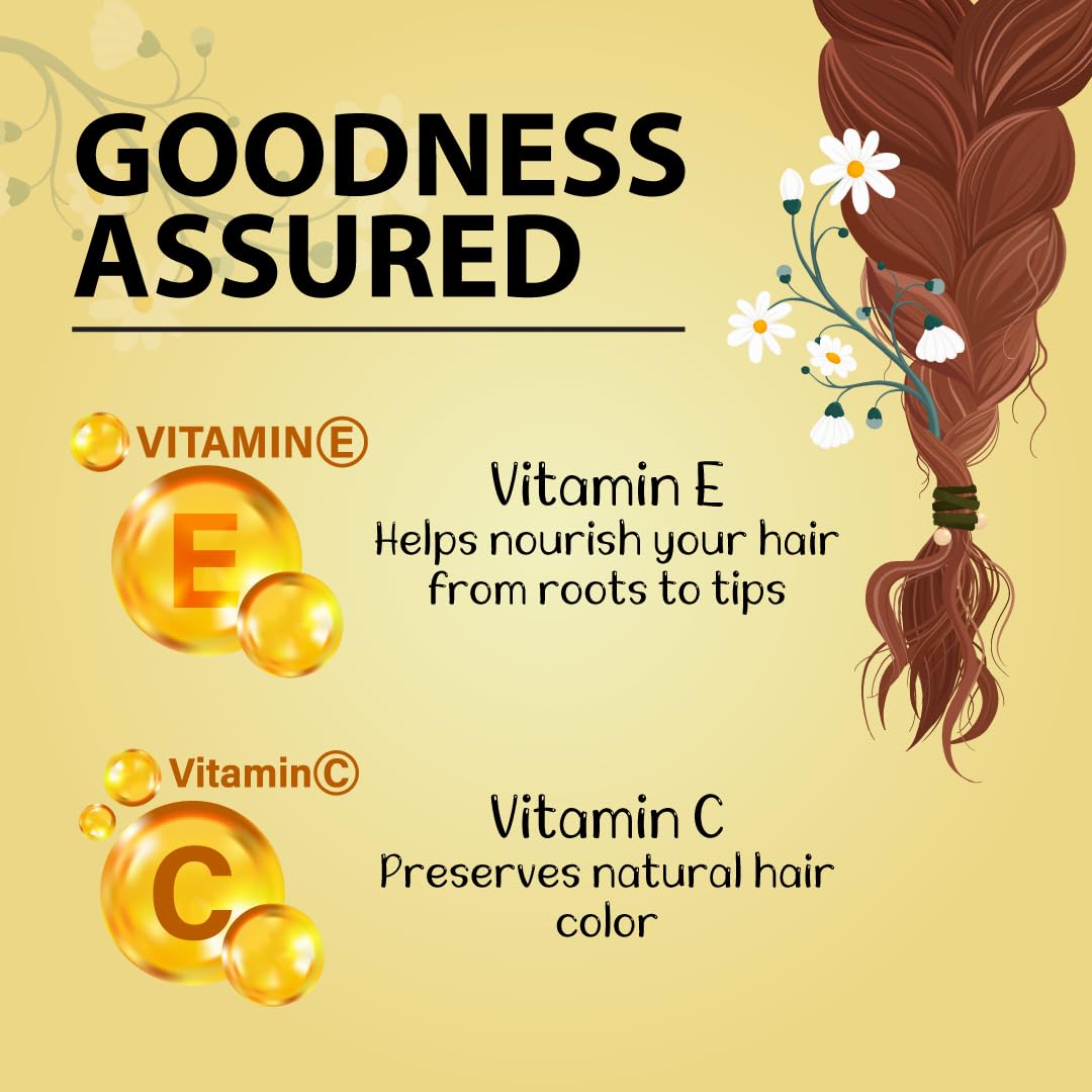 Bakson's Sunny Herbals Hair Color Burgundy - 20 gm - Pack of 2
