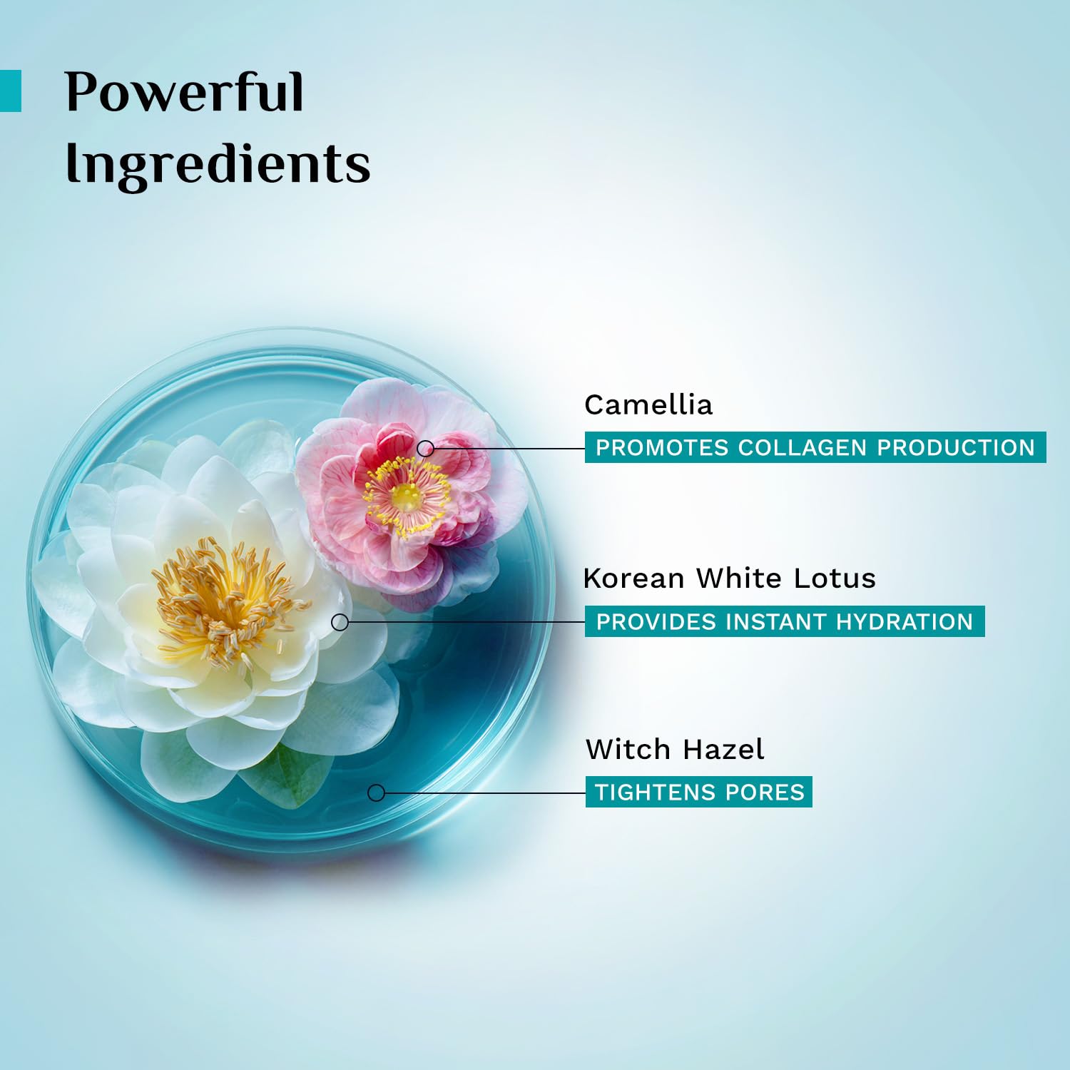 Pilgrim Korean Beauty White Lotus Refreshing Face Mist & Toner With Camellia & Witch Hazel For Glowing Skin - 100 ml