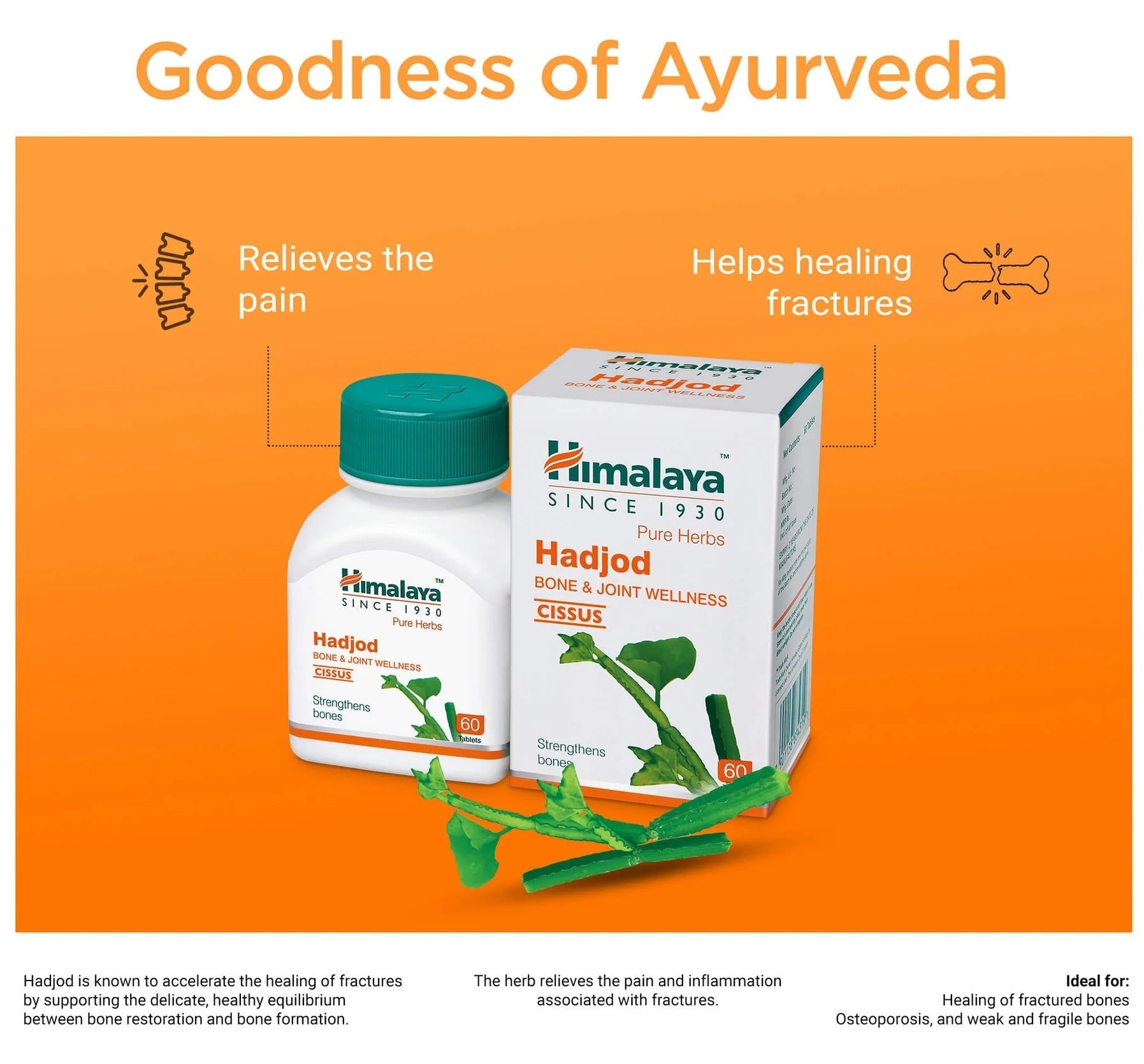 Himalaya Herbals - Hadjod Bone & Joint Wellness - Pack of 1 - 60 tabs
