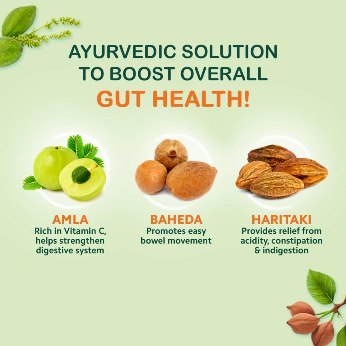 Triphala Juice - 1L | All-in-one Digestive Care Solution