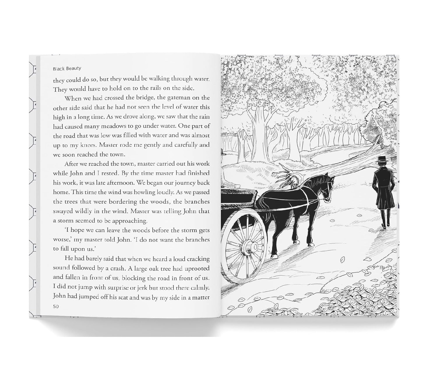 Black Beauty: Illustrated Abridged Children Classics English Novel With Review Questions (Hardback)