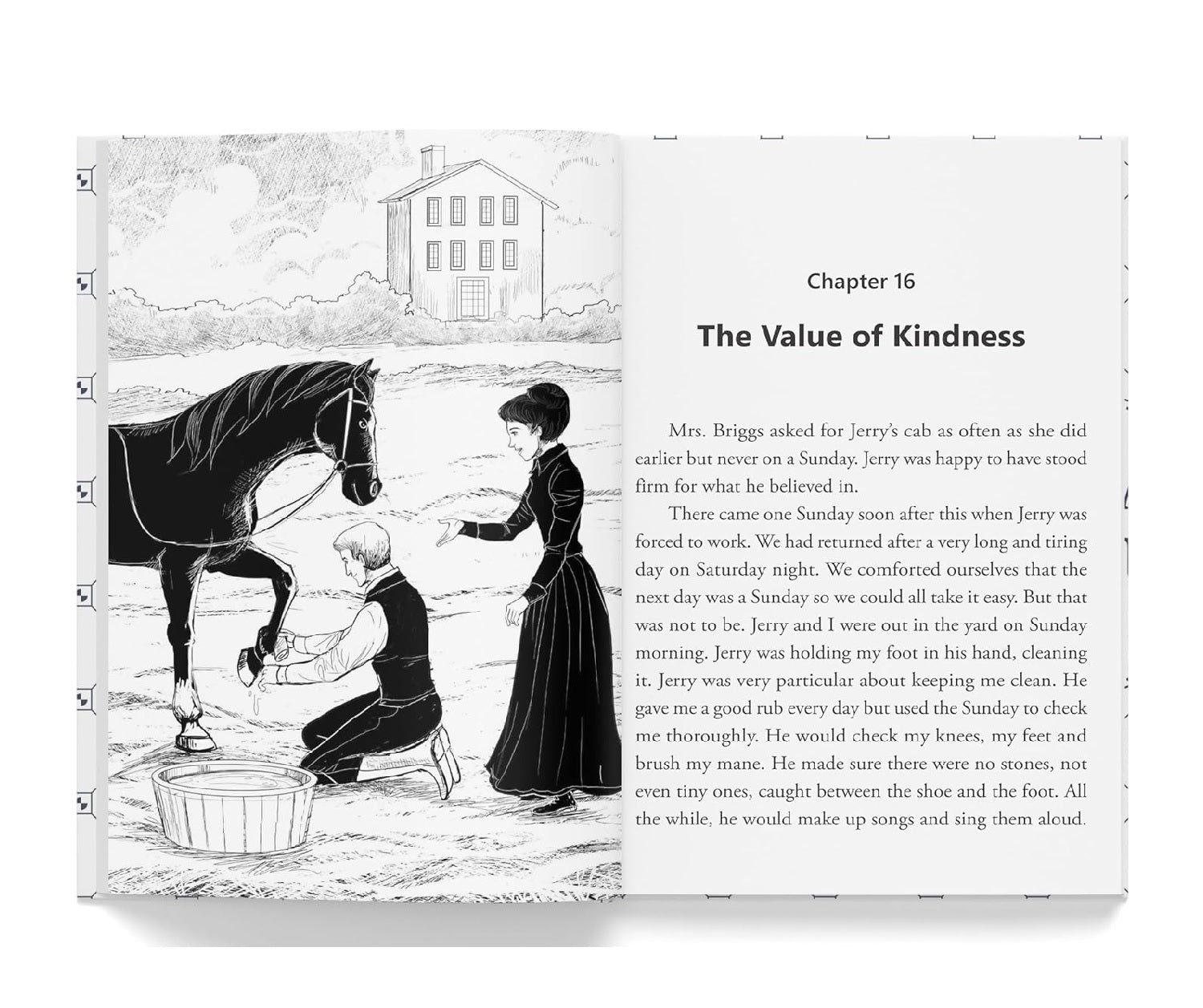 Black Beauty: Illustrated Abridged Children Classics English Novel With Review Questions (Hardback)
