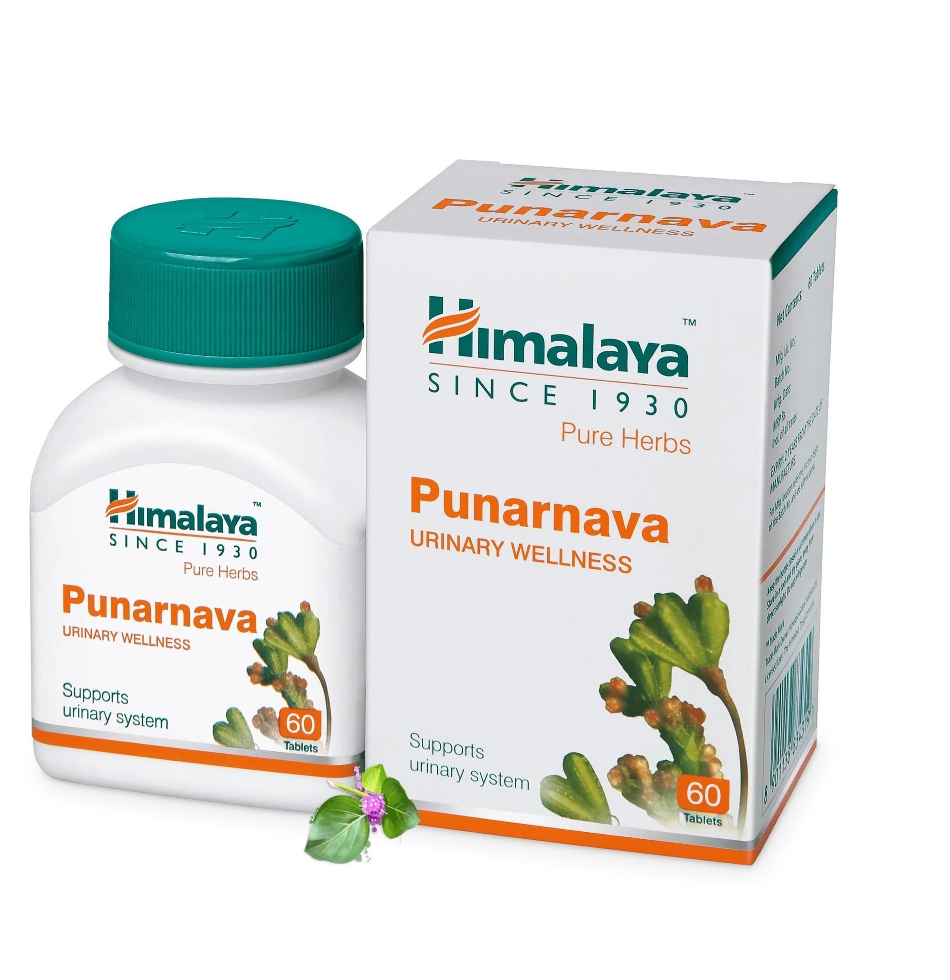 Himalaya Herbals - Punarnava Urinary Wellness - Pack of 1 - 60 tabs