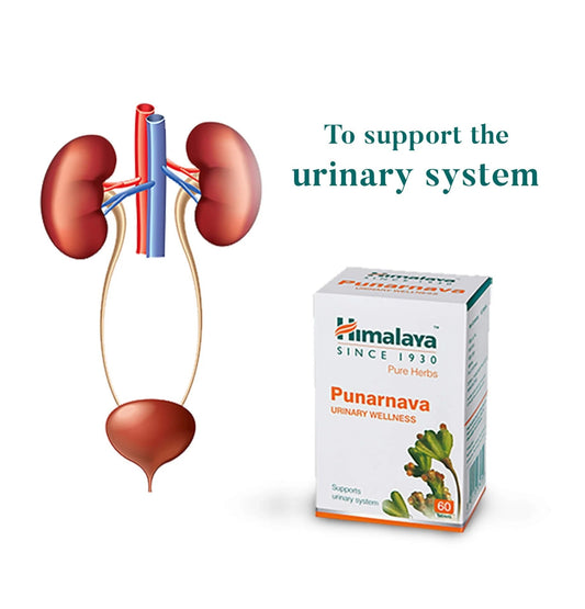 Himalaya Herbals - Punarnava Urinary Wellness - Pack of 1 - 60 tabs