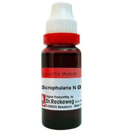 Dr. Reckeweg Scrophularia N Mother Tincture Q - 20 ml