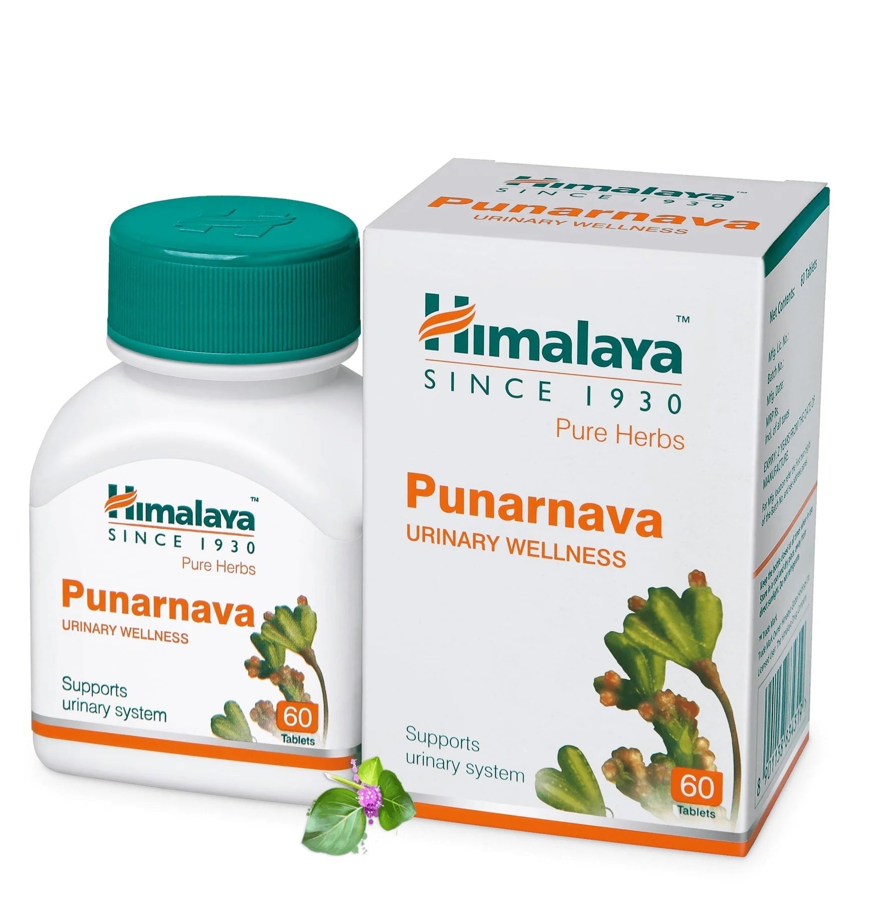 Himalaya Herbals - Punarnava Urinary Wellness - Pack of 1 - 60 tabs