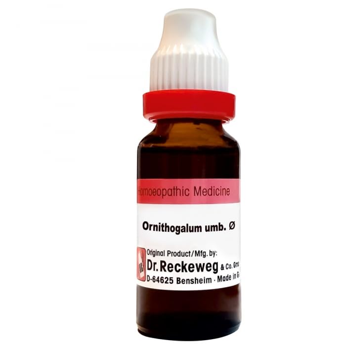 Dr. Reckeweg Ornithogalum Umbellatum Mother Tincture Q - 20 ml