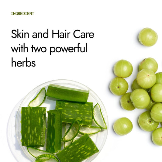 Kapiva Ayurveda Aloe Vera + Amla Juice - 1 L