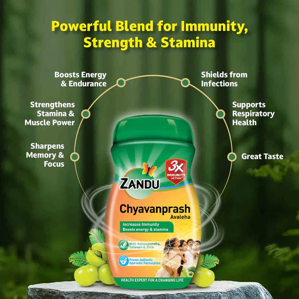Zandu Chyavanprash Avaleha - 455 gm