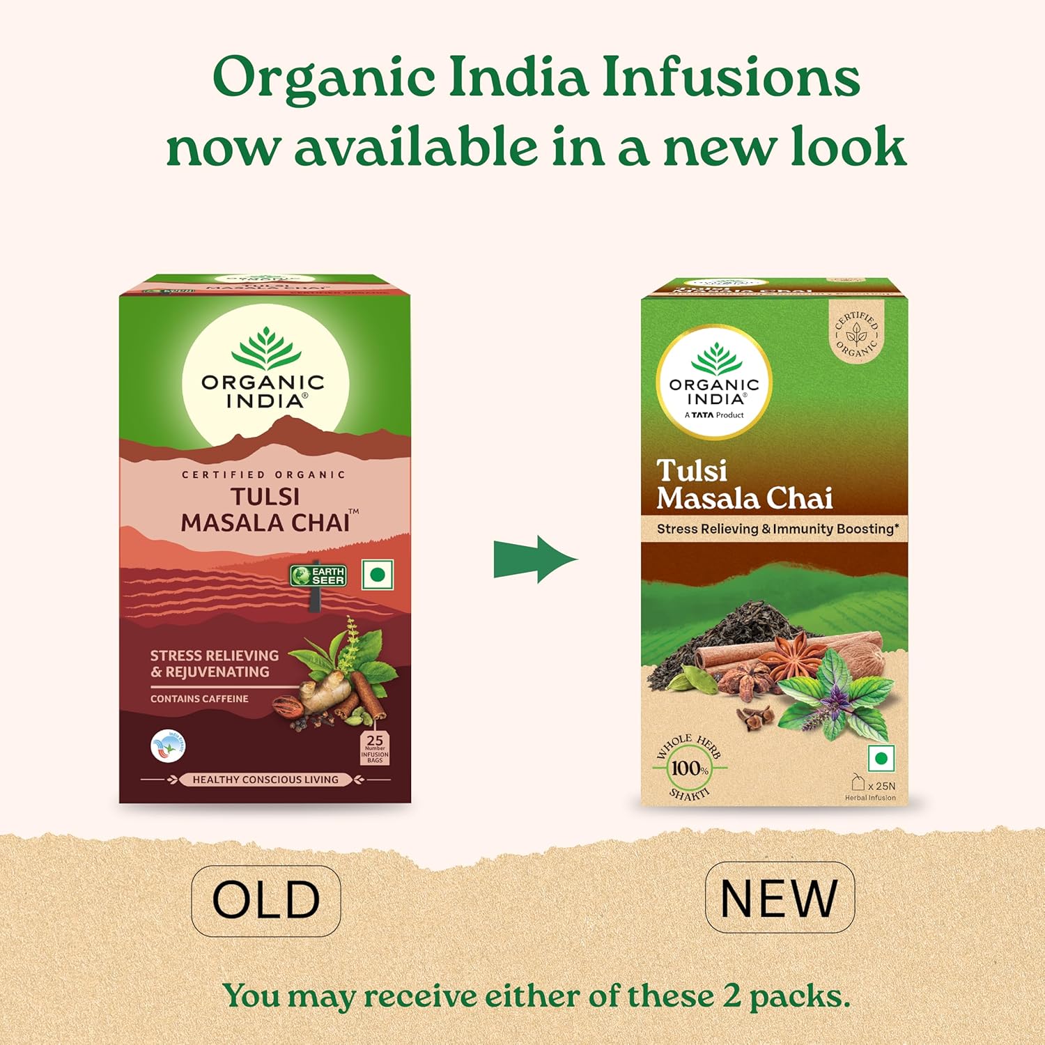 Organic India Tulsi Masala Chai, 25 Tea Bags