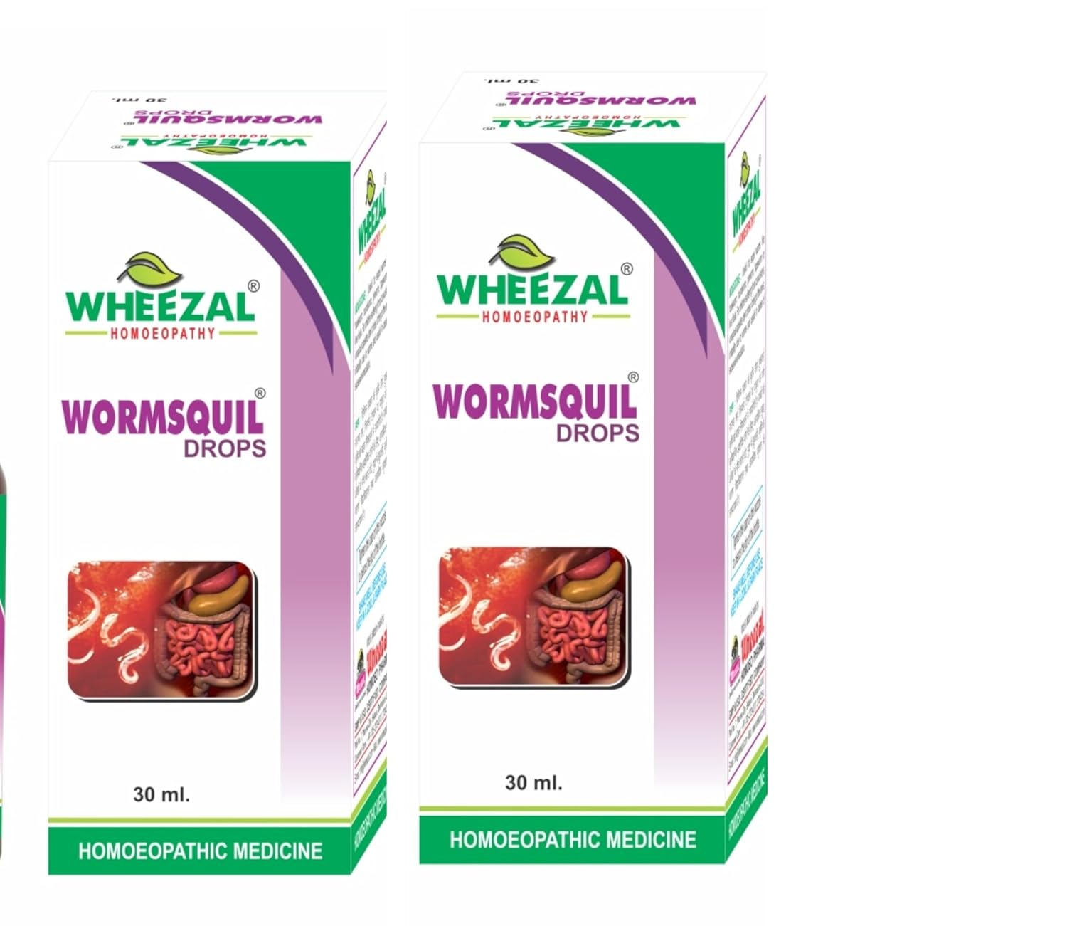 Wheezal Homeopathy Wormsquil Drops - 15 ml