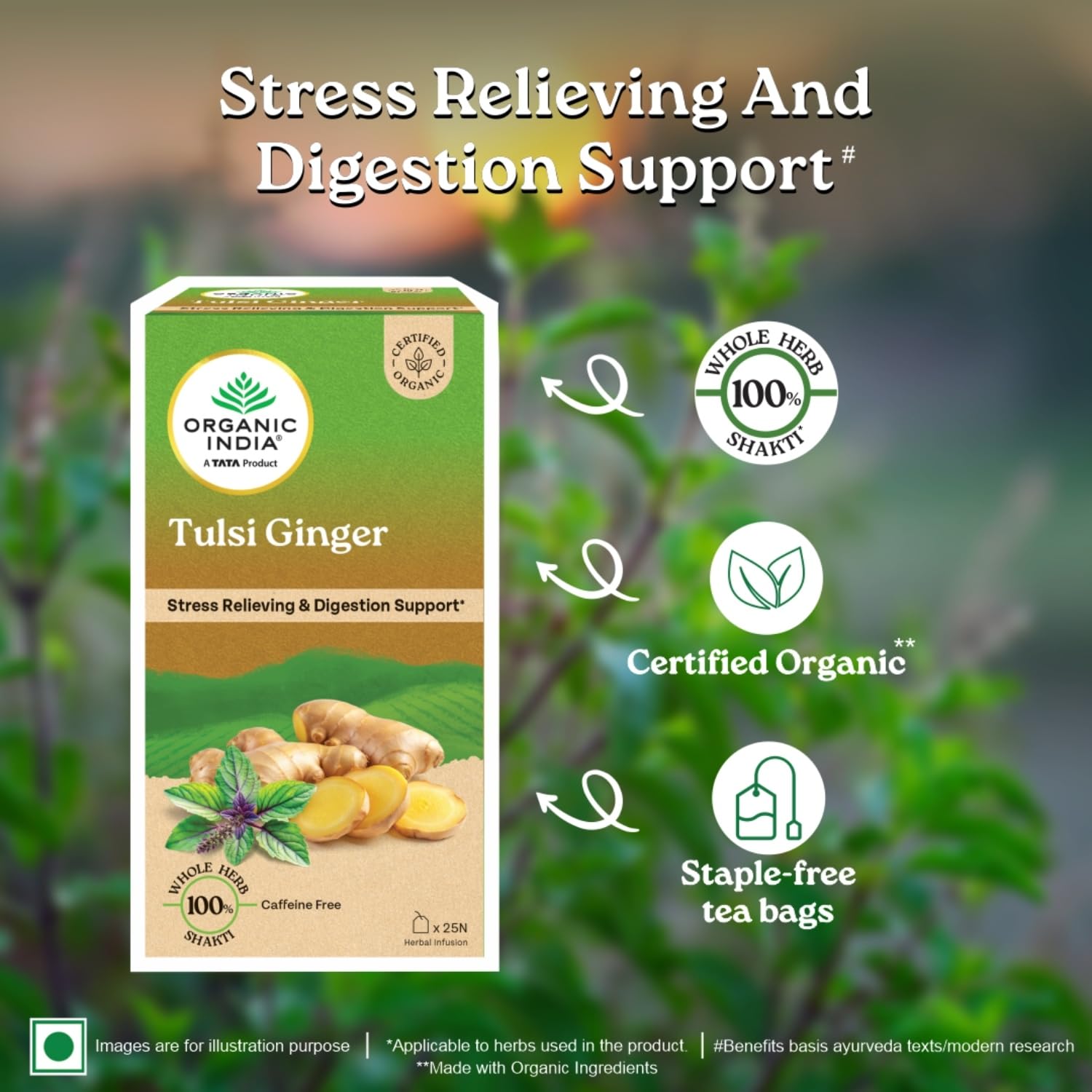 A TATA Product - Organic India Tulsi Ginger - 25 Tea Bags