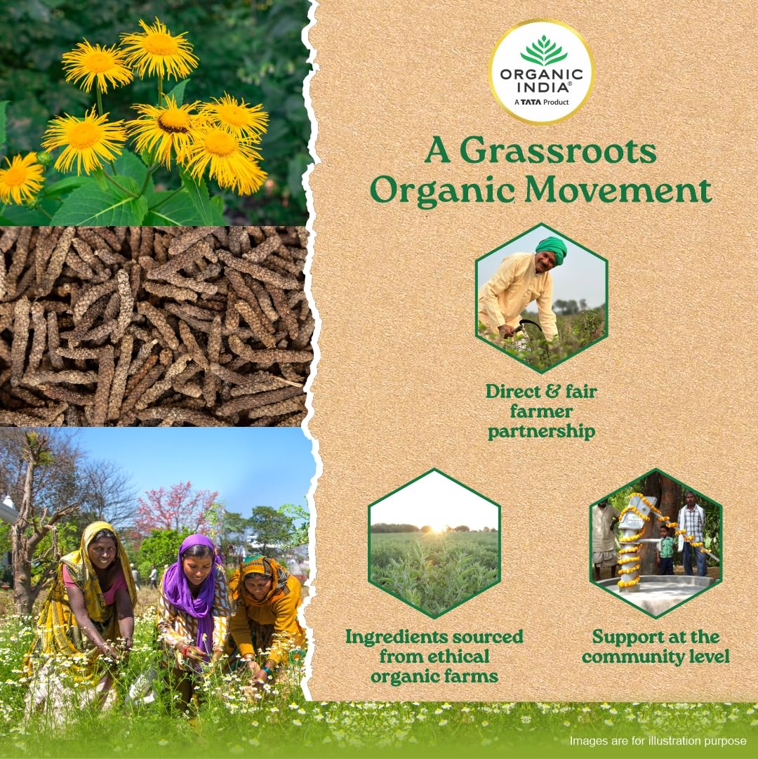 Organic India Breathe Free Veg Capsule | 60 Capsules