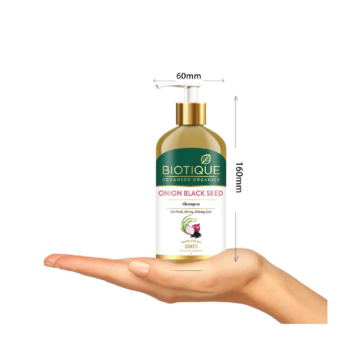 Biotique Onion Black Seed Shampoo For Fresh, Strong and Shining Hair | 300 ml