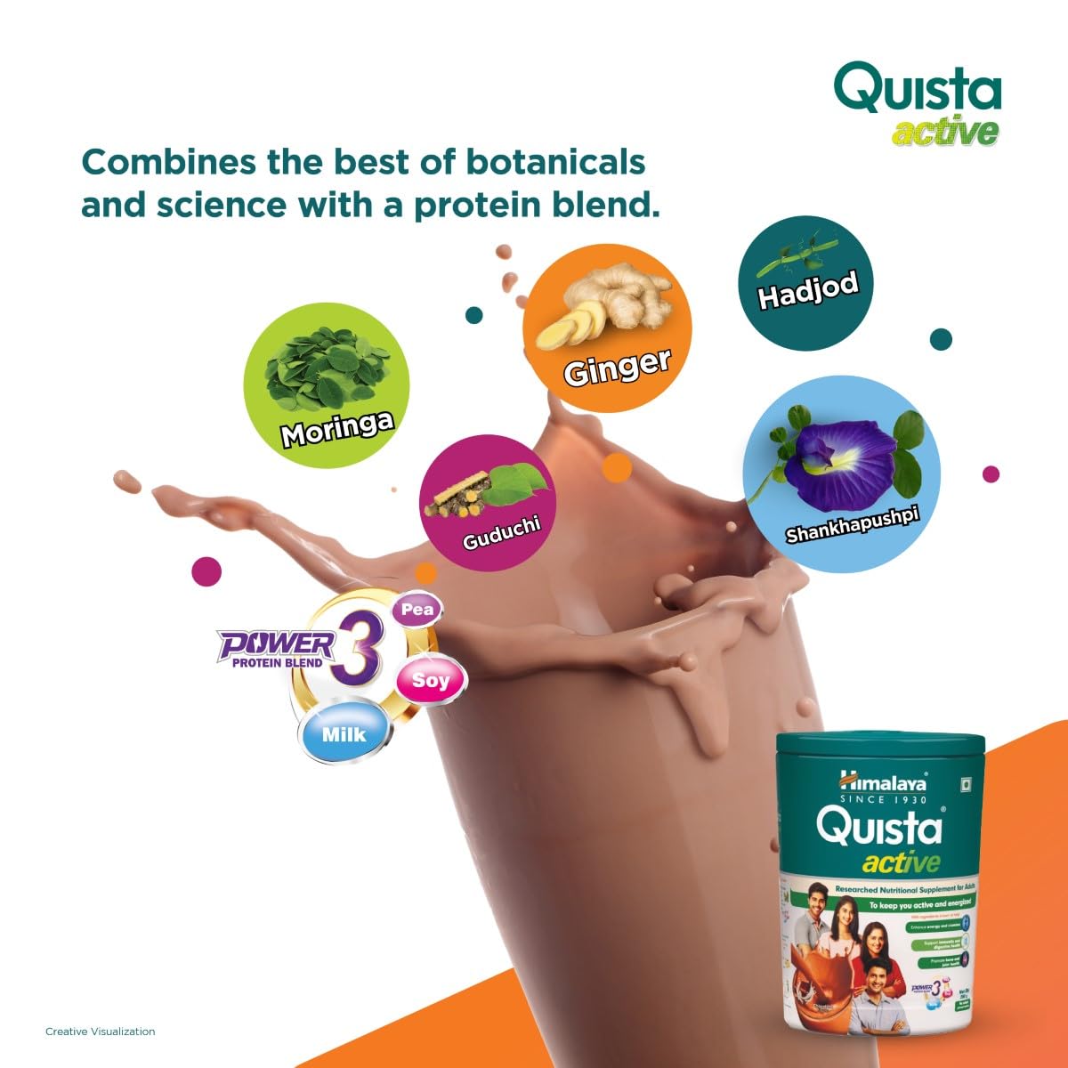 Himalaya Herbals Quista Active - Chocolate - 200 gm