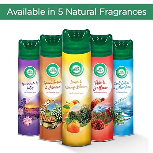 Air Wick - 245 ml - Rose & Saffron, Room Air Freshener Spray
