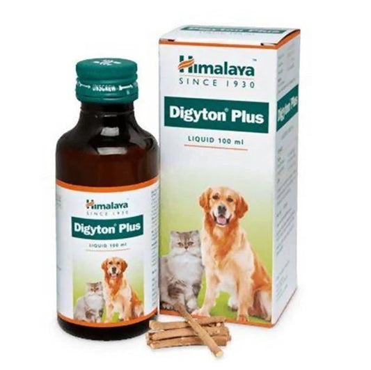 Himalaya Digyton Plus liquid - 100 ml - Pack of 2