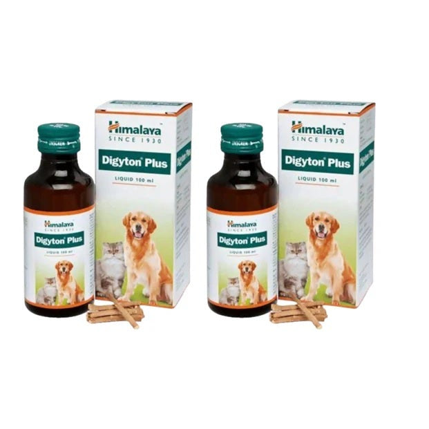 Himalaya Digyton Plus liquid - 100 ml - Pack of 2