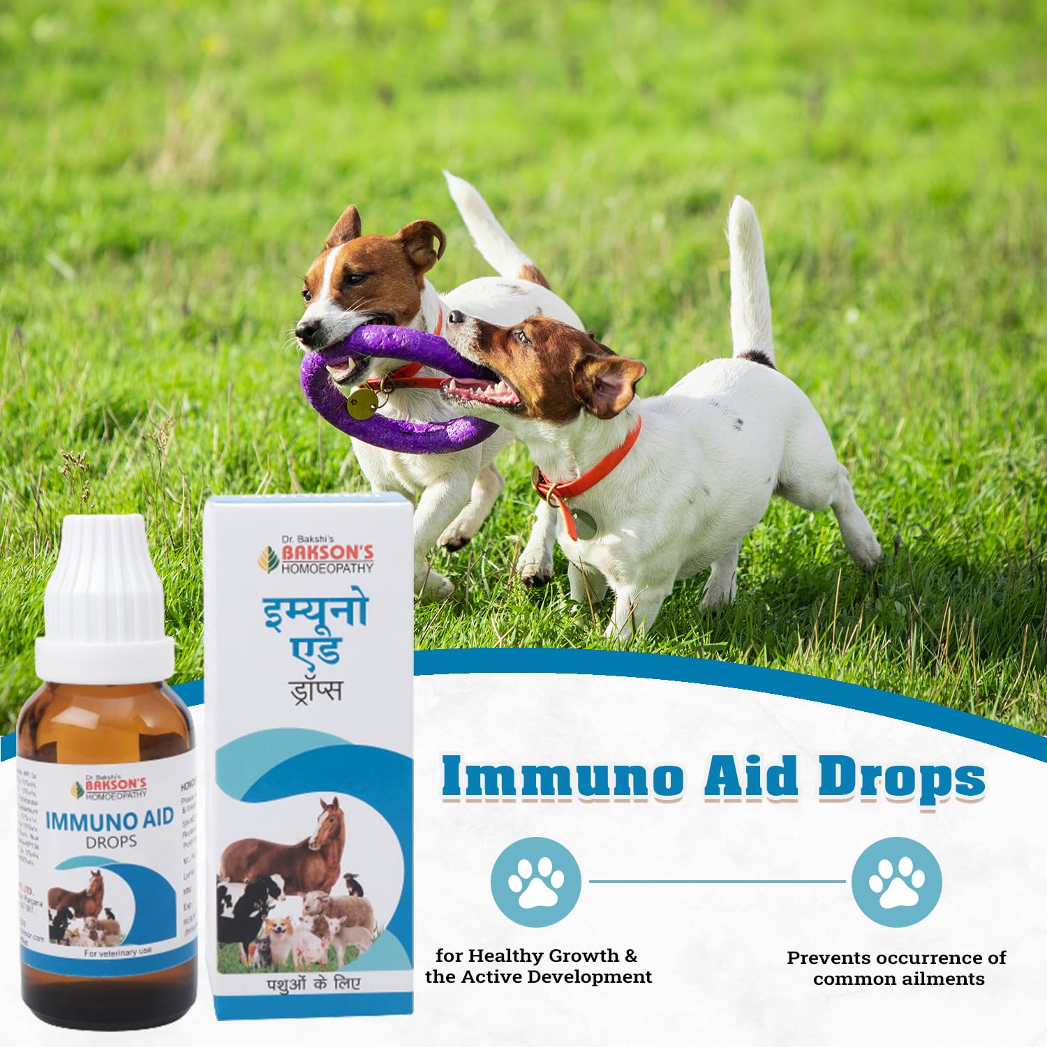 Bakson's Homeopathy Immuno Aid Drops - 30 ml