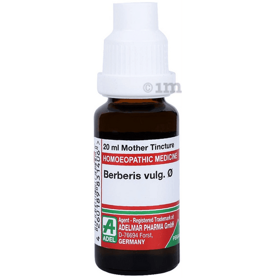 Adel Homeopathy Berberis Vulg Mother Tincture Q - 20 ml