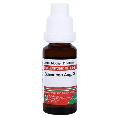 Adel Homeopathy Echinacea Ang Mother Tincture Q - 20 ml