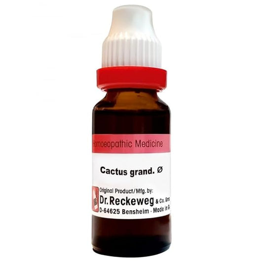Dr. Reckeweg Cactus Grand Mother Tincture Q - 20 ml - 1X