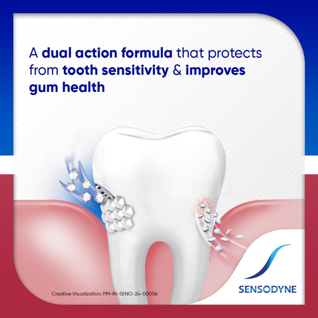 Sensodyne Toothpaste Sensitivity and Gum| Daily Sensitivity and Gum Protection Tooth Paste Combo Pack 140gm (70gm x 2) | Dentist Recommended