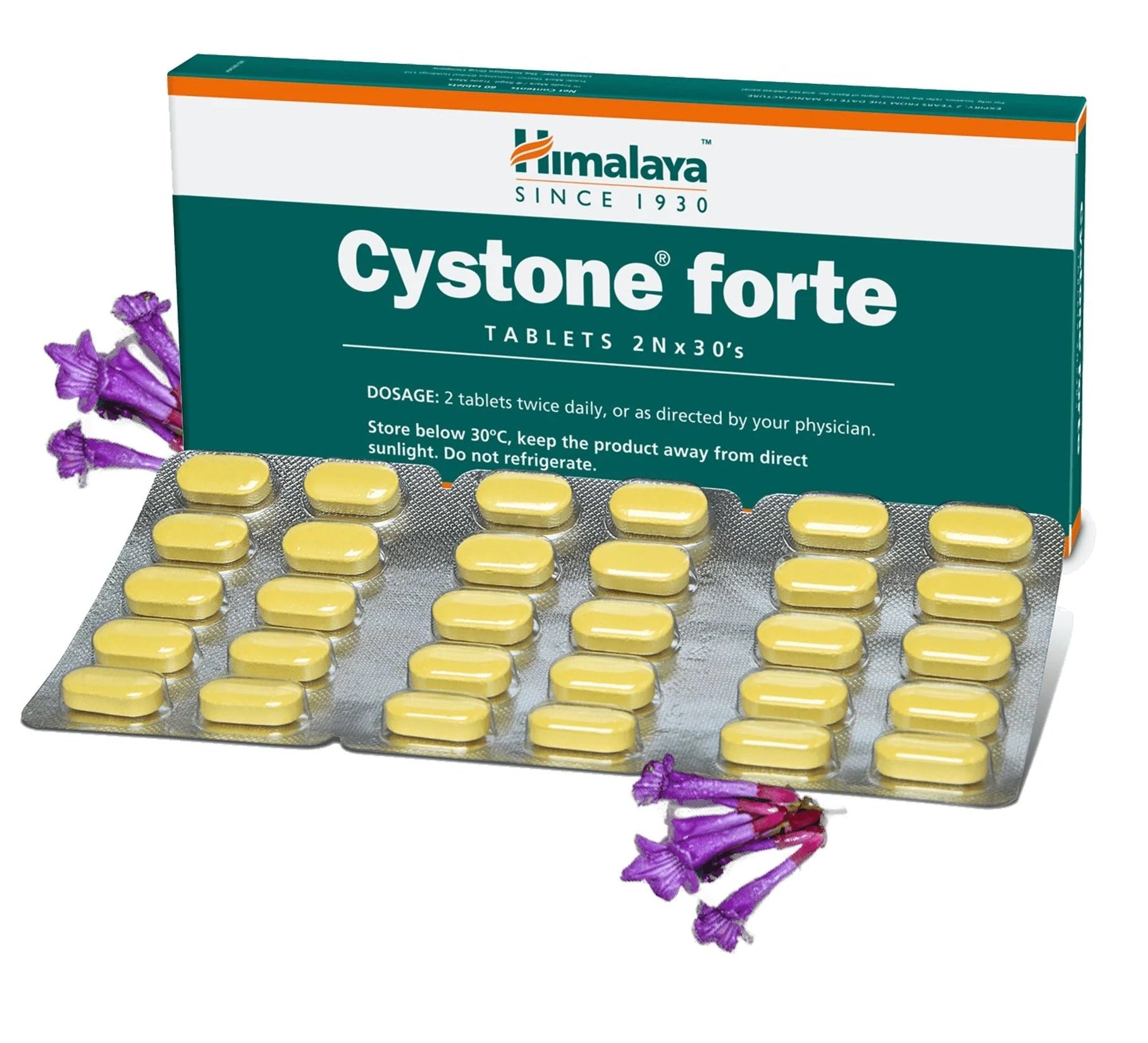 Himalaya Herbals Cystone Forte Tablets - 60 tabs