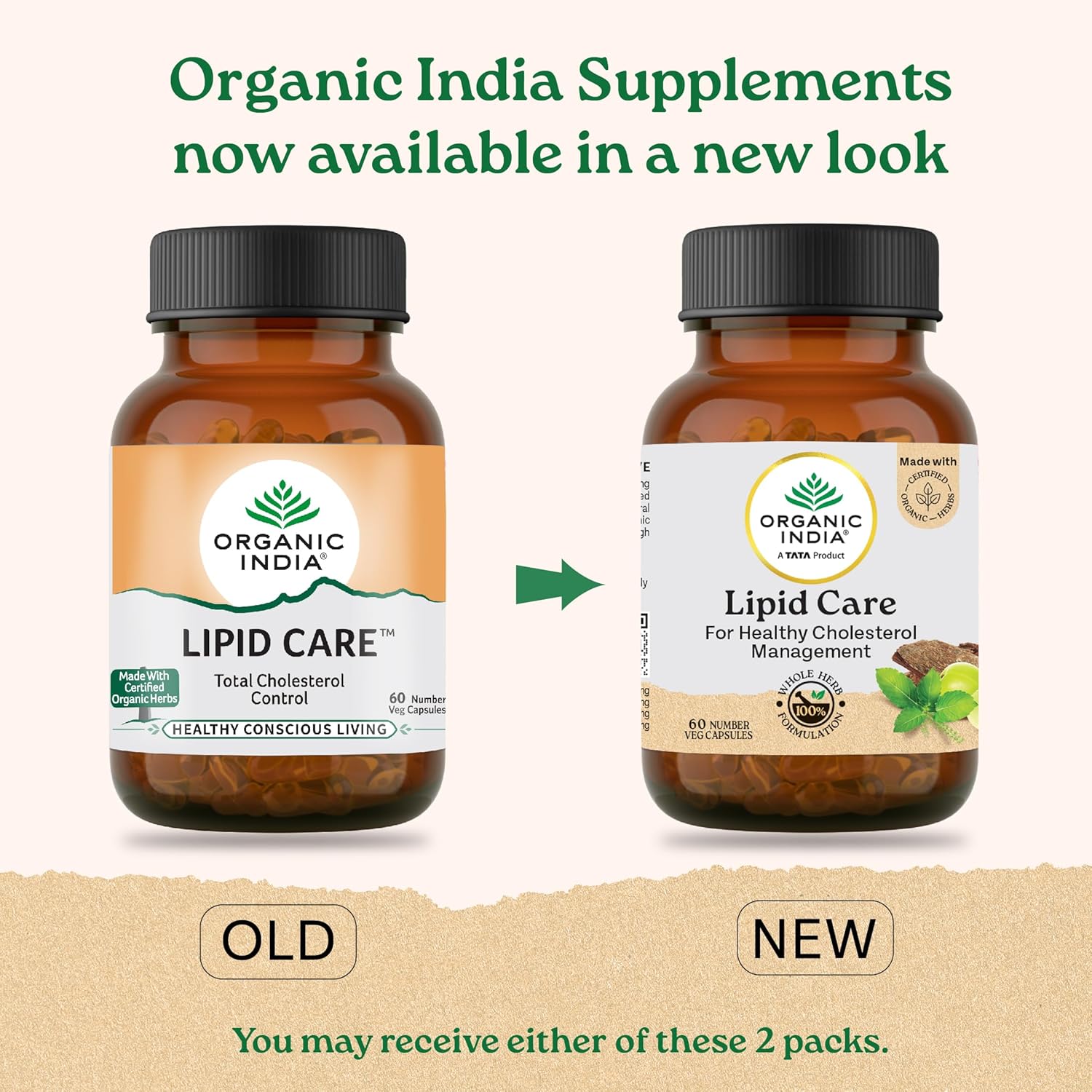 Organic India Lipid Care Veg 60 Capsule | Supports Healthy Cholesterol