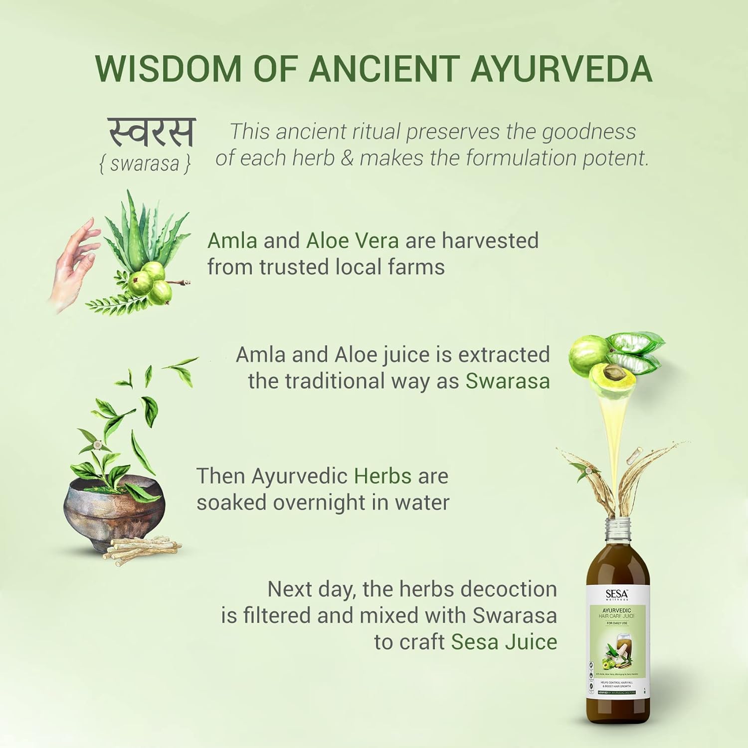 SESA Ayurvedic Hair Care Juice - for Hair Fall control & Hair Growth - with Bhringraj, Aloe Vera, Amla & Daru Haridra | 1L