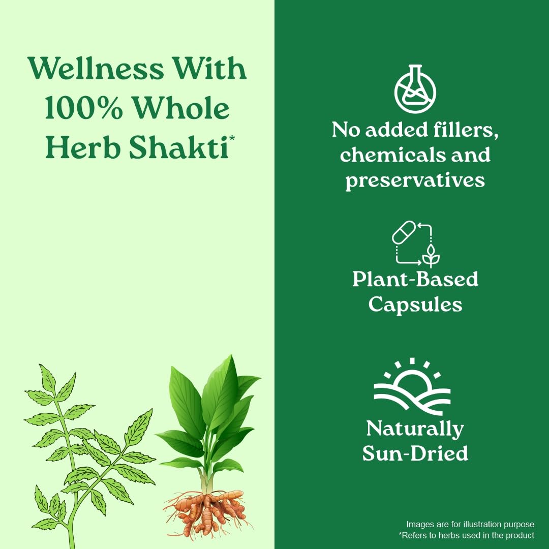 Organic India Prostate Care Veg | 60 Capsule