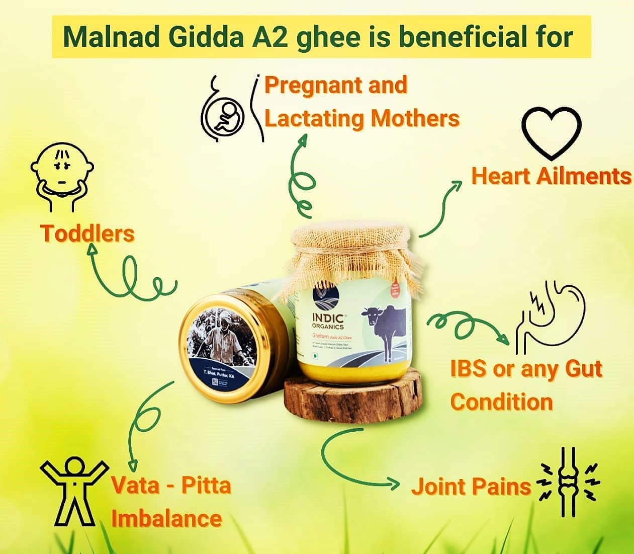 Indic Organics Forest Grazing Malnad Gidda Desi Cow's A2 Ghee | Pure Desi Cow Ghee | Cultured Premium Ghee - 250 ml - Pack of 1