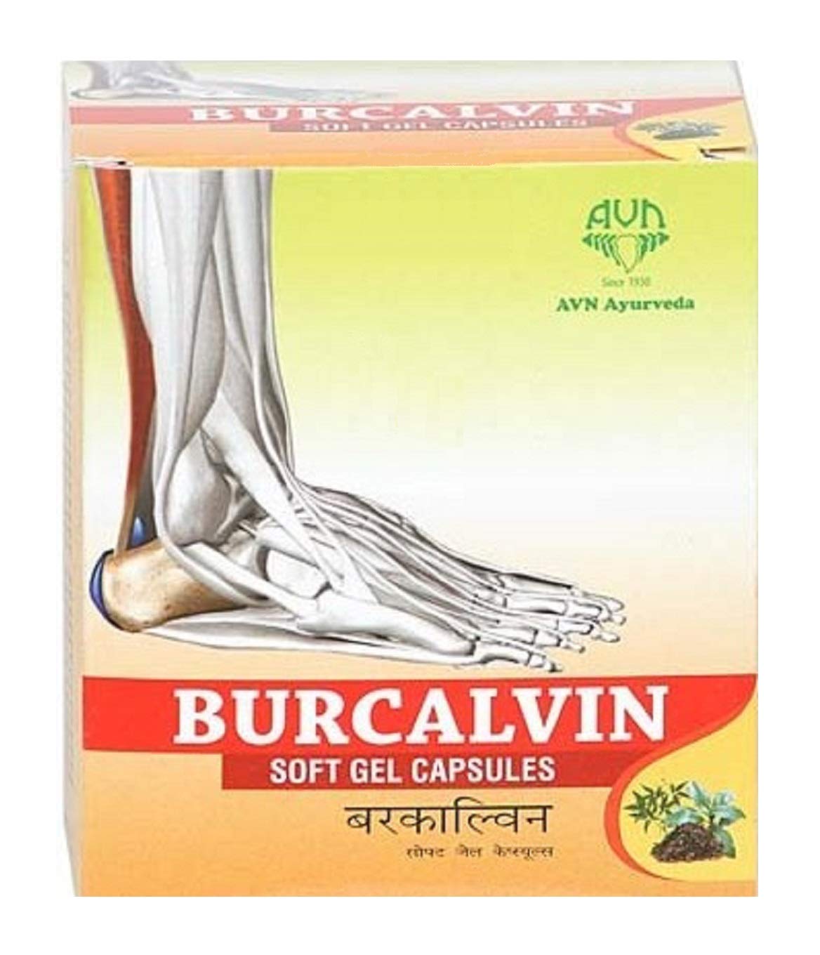 AVN Burcalvin Soft Gel Capsules- 60 Capsules For Calcaneal Spurs, Heel Pain