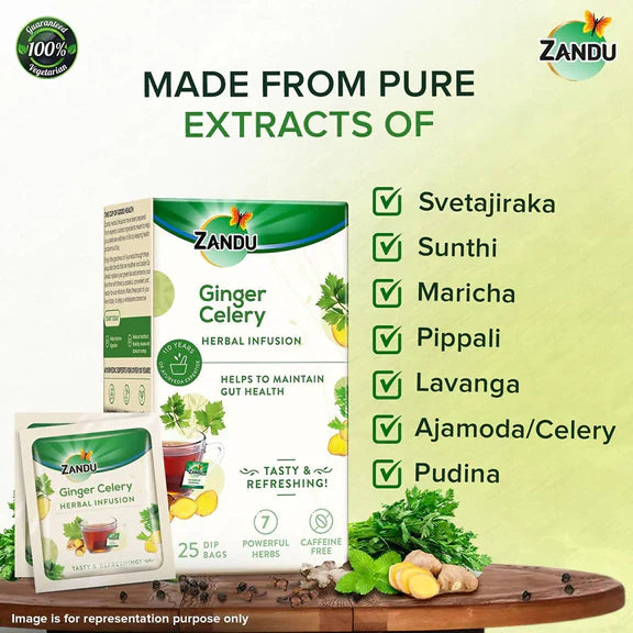 Zandu Ginger Celery Herbal Infusion Tea - Pack of 1 - 25 Tea Bags