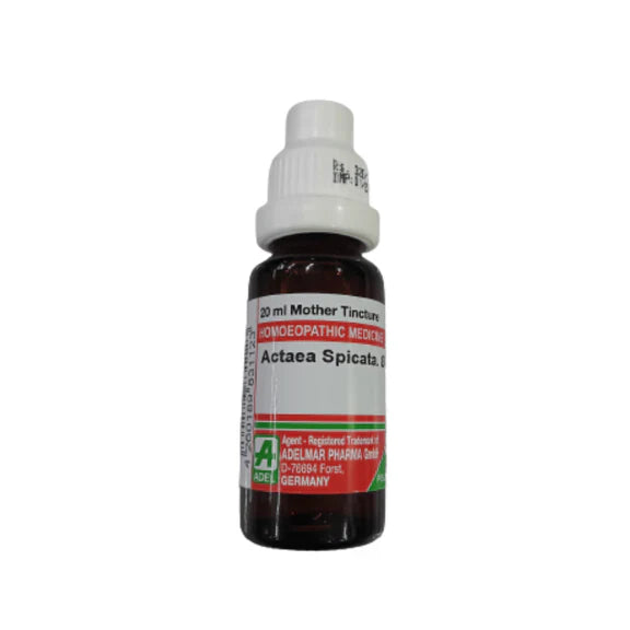 Adel Homeopathy Actea Spi Mother Tincture Q - 20 ml