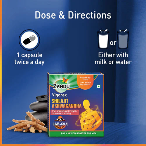 Zandu Vigorex SJ Ashwagandha Capsules - 60 caps