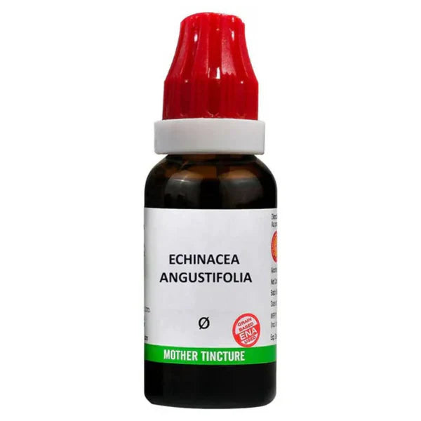 Bjain Homeopathy Echinacea Angustifolia Mother Tincture Q - 30 ml