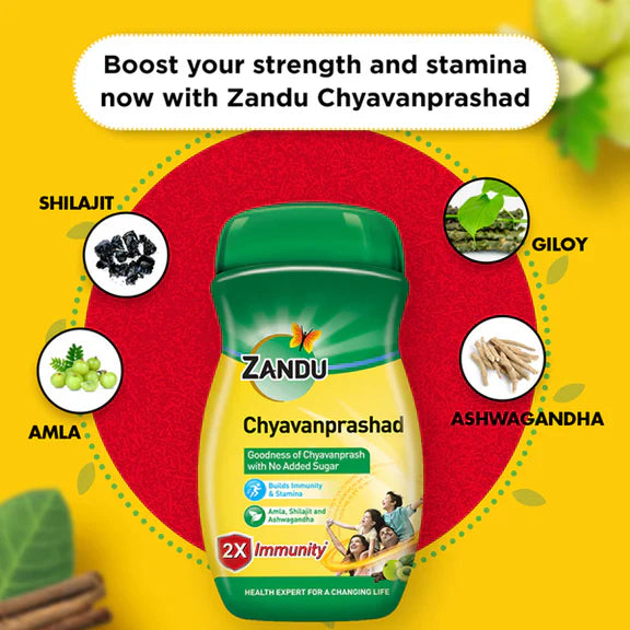 Zandu (Sugar Free) Chyavanprashad - 910 Gm