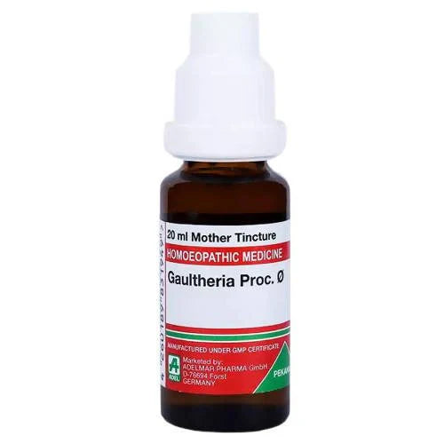 Adel Homeopathy Gaultheria Proc Mother Tincture Q - 20 ml