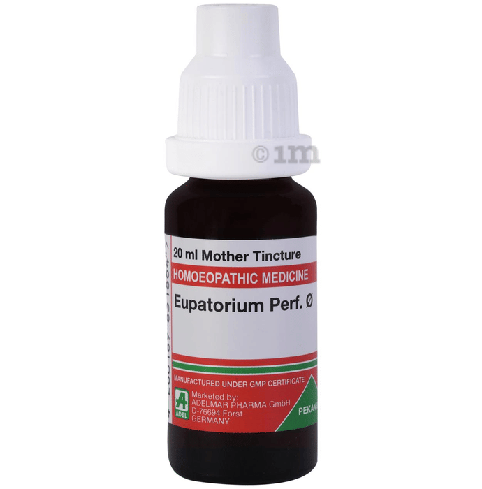 Adel Homeopathy Eupatorium Perf Mother Tincture Q - 20 ml