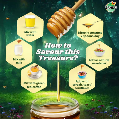 Zandu Pure Honey Sundarban Forest - 500 ml - Pack of 1