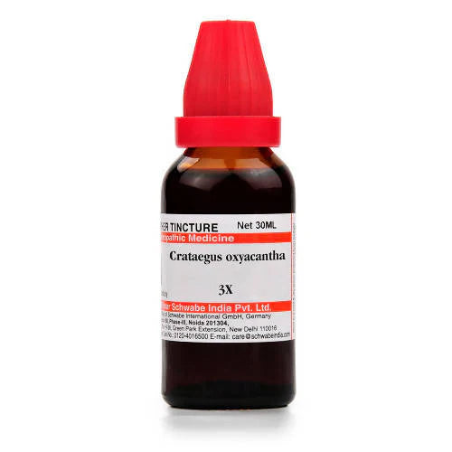 Dr. Willmar Schwabe India Crataegus Oxyacantha Mother Tincture Q - 1X - 30 ml