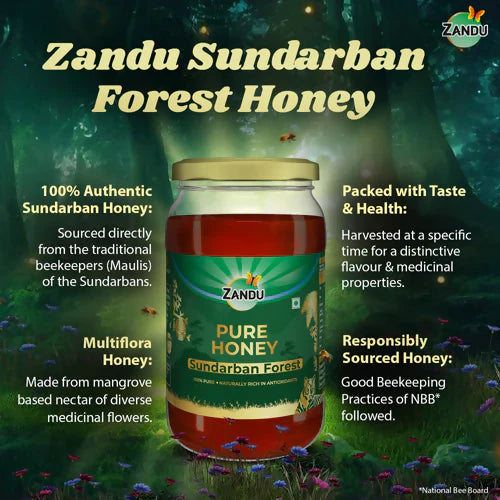Zandu Pure Honey Sundarban Forest - 500 ml - Pack of 1