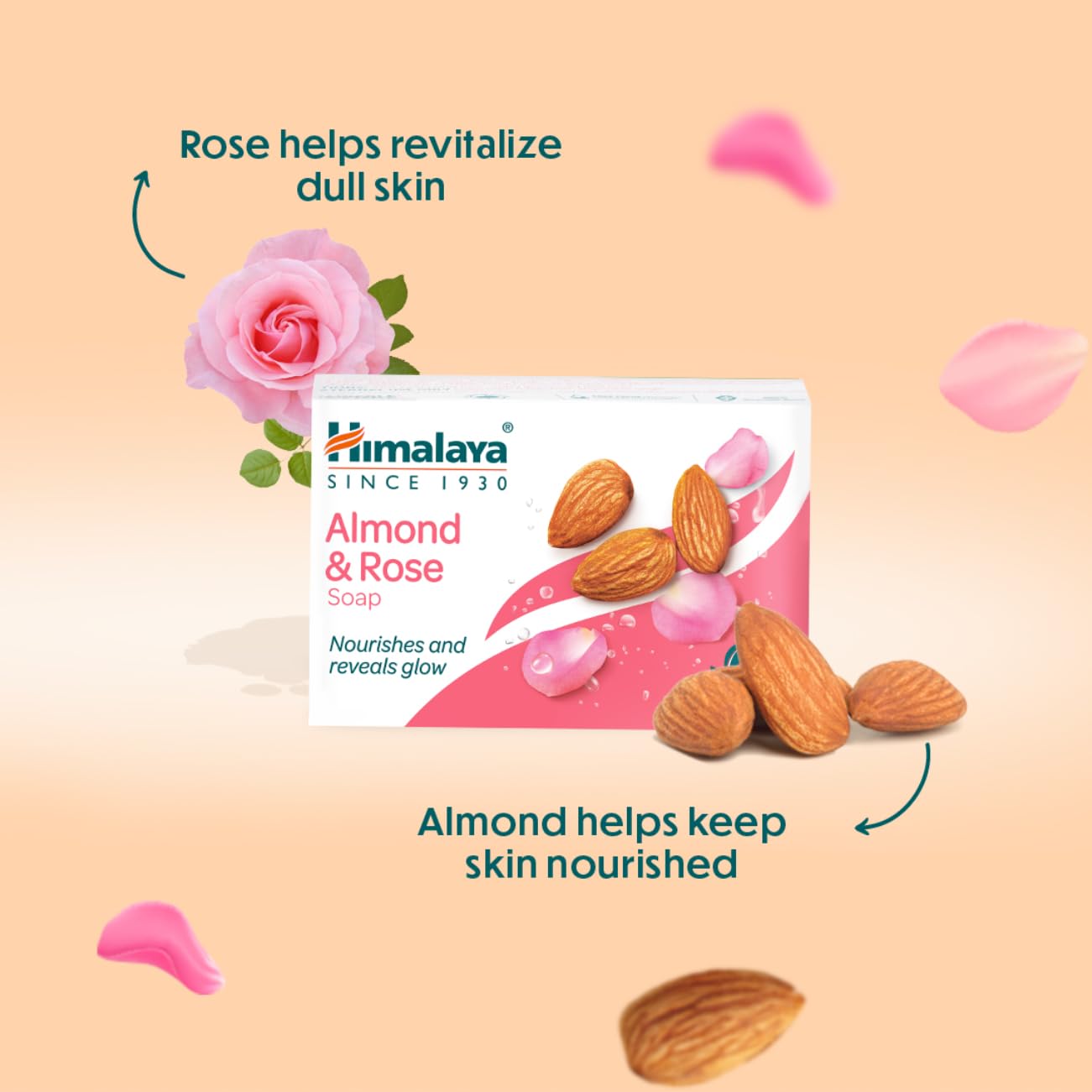 Himalaya Herbals Almond and Rose Soap - 75 gm - Pack of 1
